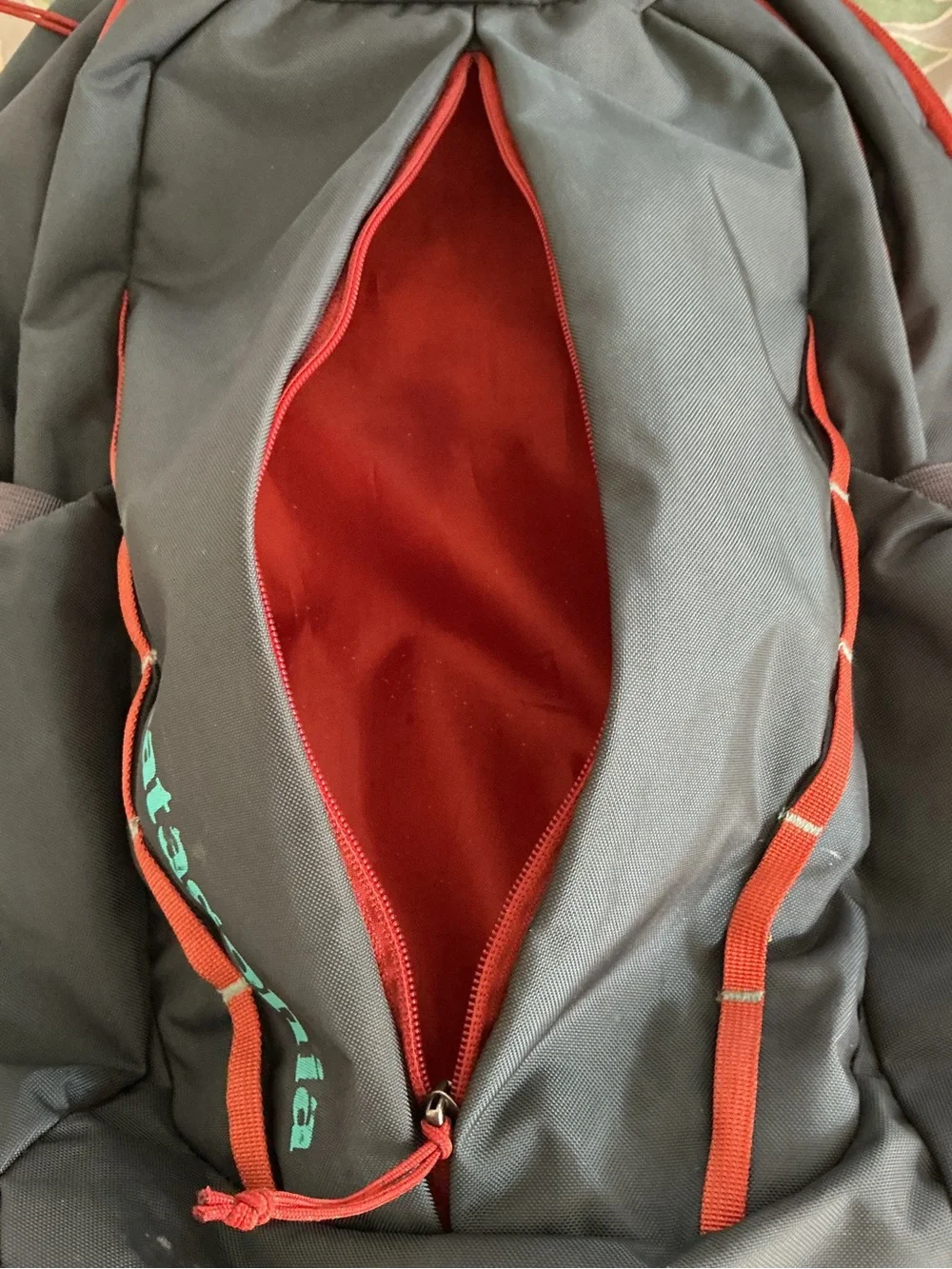Patagonia “worn wear”